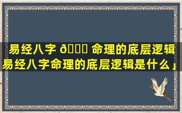 易经八字 🐝 命理的底层逻辑「易经八字命理的底层逻辑是什么」